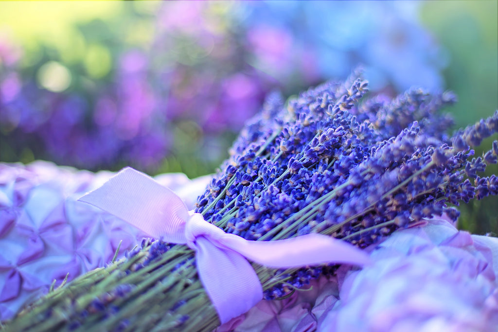 Lavender Aromatherapy Holistic Effects